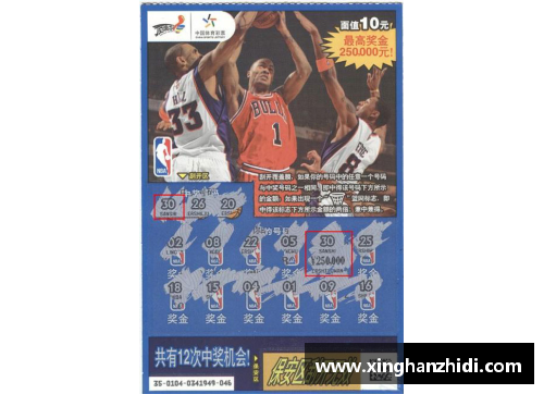 开心彩票NBA赛场上的冰敷应用与效果分析 - 副本