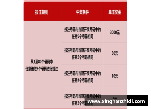 开心彩票鲍尔前景难料，法甲策划定位或告吹 - 副本